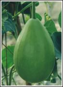 MULAYAM