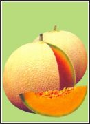 PUNJAB SUNEHRA